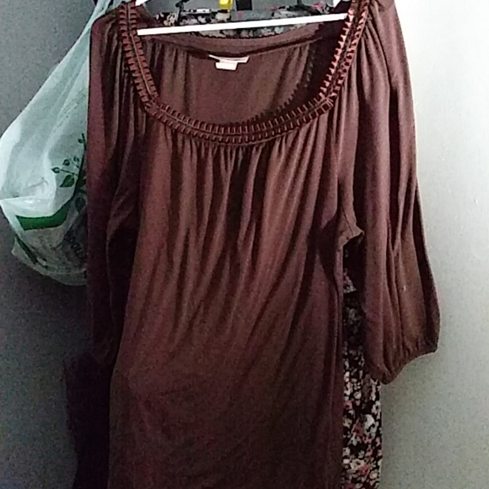 Dark chocolate brown used top